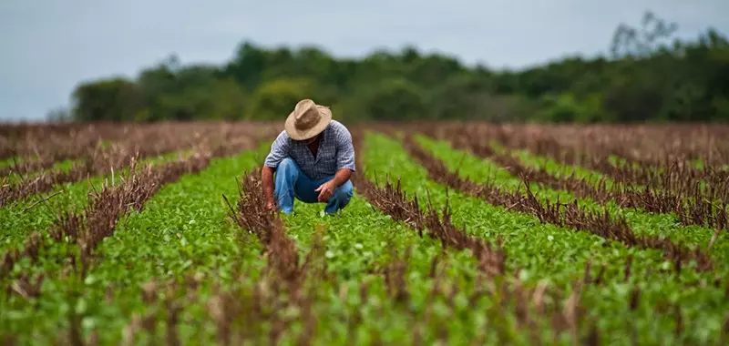 O que é um ativador agrícola?