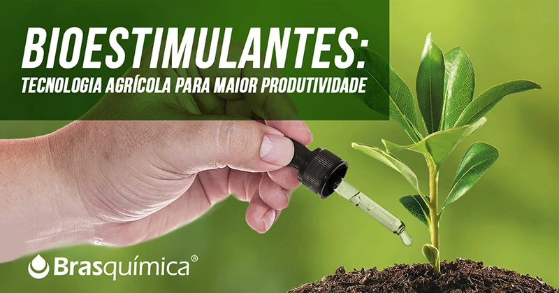 Bioestimulantes: tecnologia agrícola para maior produtividade