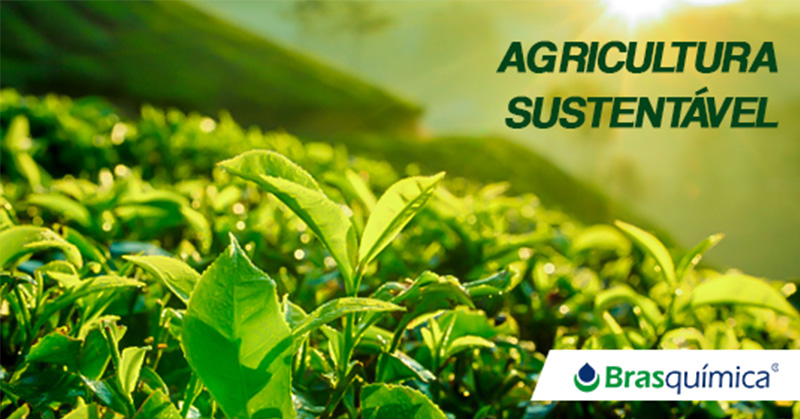 Agricultura sustentável