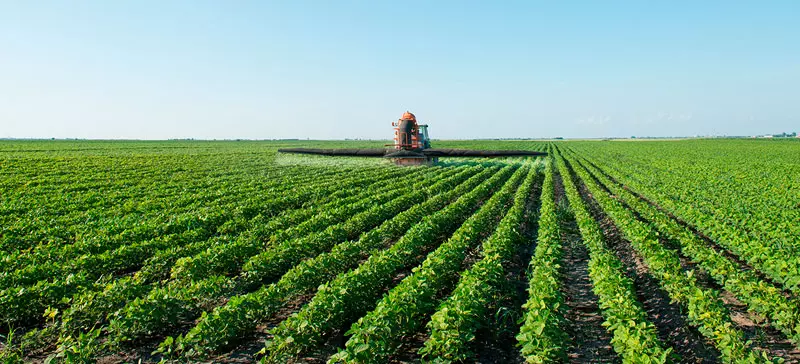 Quais os benefícios dos fertilizantes foliares?