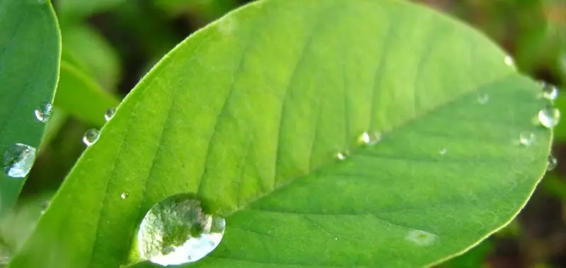 Para que serve um redutor de pH agrícola?