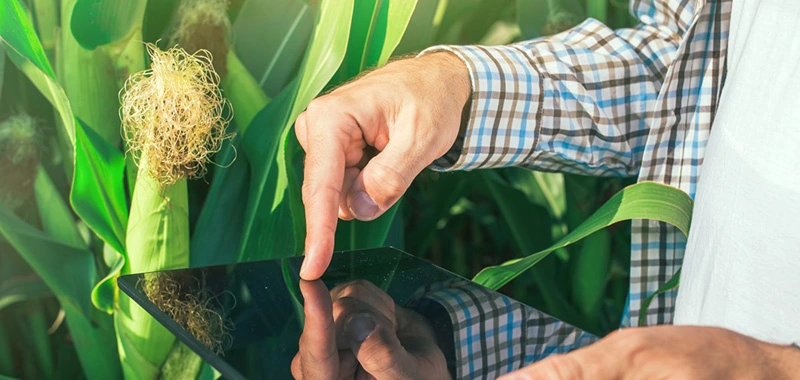 3 tendências tecnológicas a favor do campo